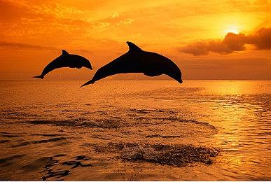 《JET SET RADIO》角色Beat将在《超级猴子球 香蕉大乱斗》DLC“世嘉通行证”中登场！