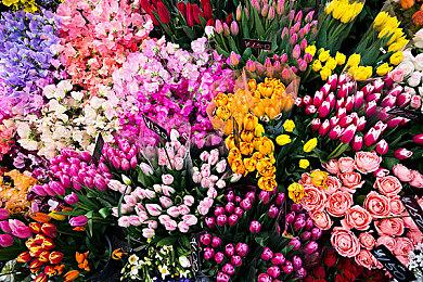 PS5终结Switch在美国连续33个月保持第一的记录